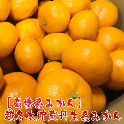 【高糖系みかん】越冬本貯蔵丹生系みかん　約5kg