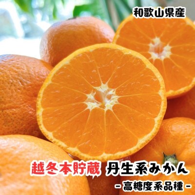 ≪先行予約 2027年2月～発送≫【高糖系みかん】越冬本貯蔵丹生系みかん 約3kg