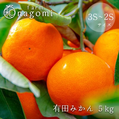 farm 和の有田みかん　3S～2Sサイズ　約5kg
