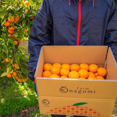 farm 和の有田みかん　3S～2Sサイズ　約5kg