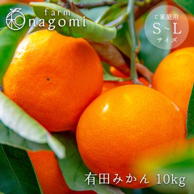 farm 和の有田みかん　S～Lサイズ　約10kg【ご家庭用】