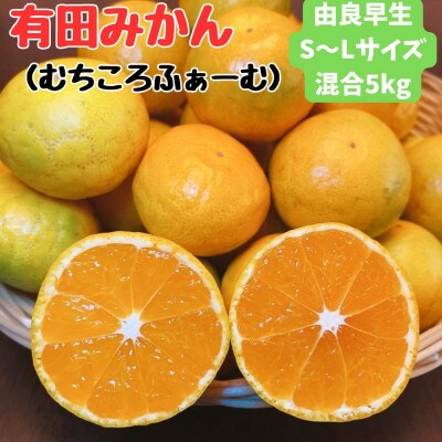 有田みかん由良早生S〜Lサイズ5kg