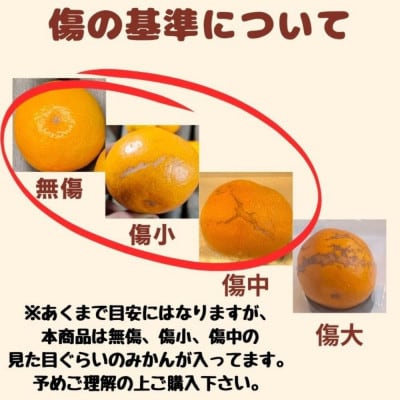 有田みかん由良早生S〜Lサイズ5kg