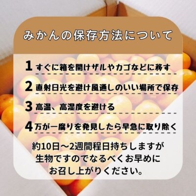 有田みかん由良早生S〜Lサイズ5kg