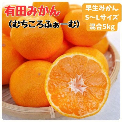 有田みかん早生S〜Lサイズ 5kg