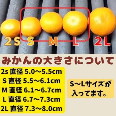 有田みかん早生S〜Lサイズ 5kg