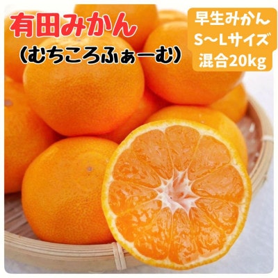 有田みかん早生S〜Lサイズ 20kg