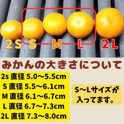 有田みかん早生S〜Lサイズ 20kg