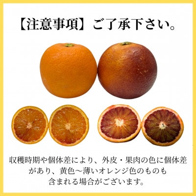 和歌山 有田 ブラッドオレンジ　モロ　5kg