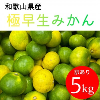 【家庭用】和歌山県産 極早生みかん 5kg