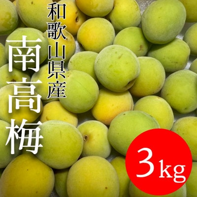 和歌山県産　南高梅  3kg【青梅】