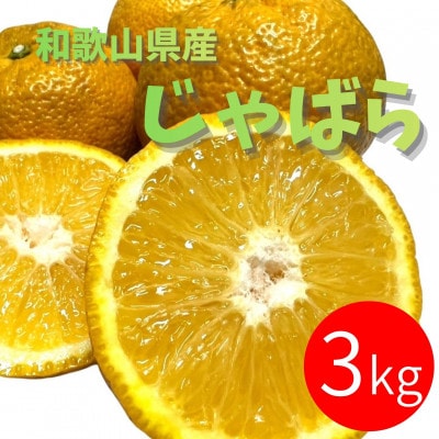 じゃばら 3kg (17～26玉) | 和歌山県有田川町 | ふるさと納税サイト