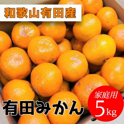 【家庭用】有田みかん　5kg(約46個～51個)　あまり市場に出回らない!?
