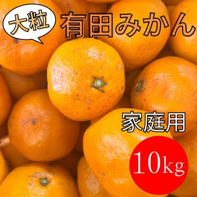 【家庭用】大粒有田みかん　10kg(約70個～76個)　市場にあまり出回らない!