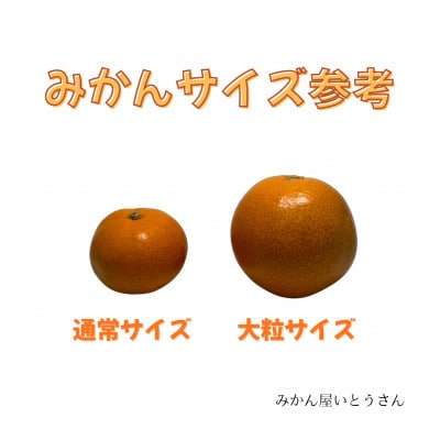 【家庭用】大粒有田みかん　10kg(約70個～76個)　市場にあまり出回らない!