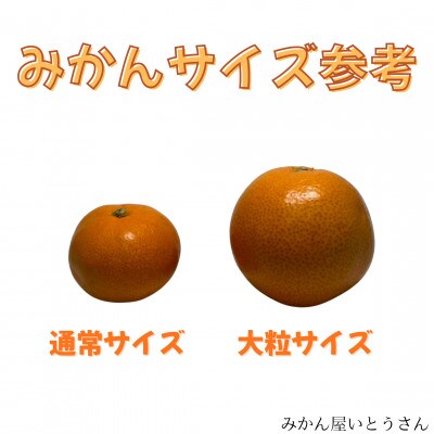 【家庭用】大粒有田みかん　5kg(約35個～40個)　市場にあまり出回らない!