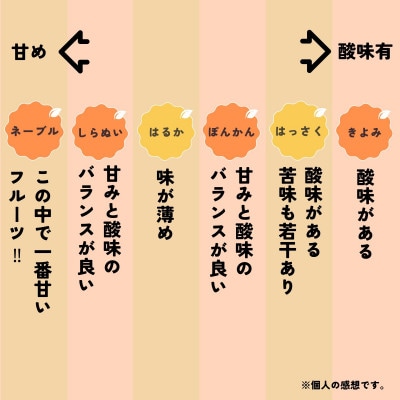 和歌山 有田 はっさく 5kg