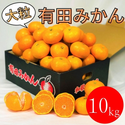 【大粒有田みかん】10kg(約70個～76個)　市場にあまり出回らない!