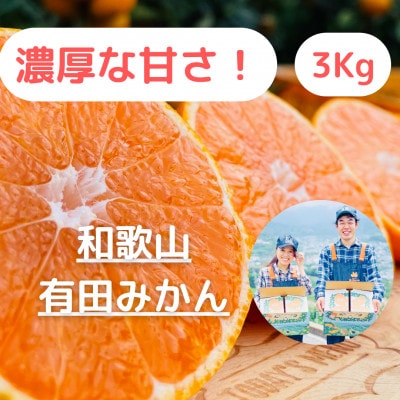 【農家直送】濃厚な甘さの有田みかん3kg/【小玉サイズ】