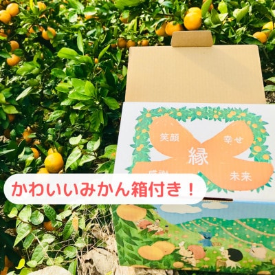 【農家直送】濃厚な甘さの有田みかん3kg/【小玉サイズ】