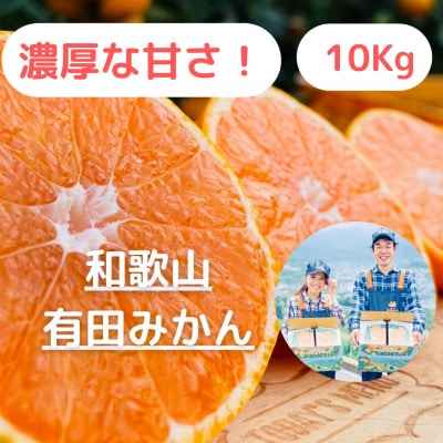 【農家直送】濃厚な甘さの有田みかん10kg/【小玉サイズ】