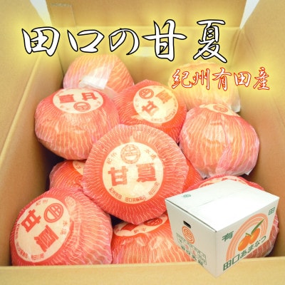 和歌山県有田産　田口の甘夏　秀品10キロ　2L～3L(約23～21玉)サイズおまかせ