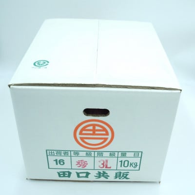 和歌山県有田産　田口の甘夏　秀品10キロ　2L～3L(約23～21玉)サイズおまかせ