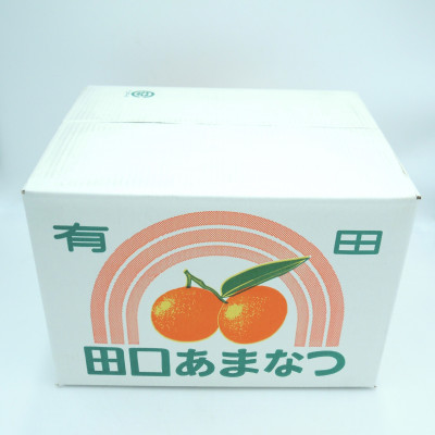 和歌山県有田産　田口の甘夏　秀品10キロ　2L～3L(約23～21玉)サイズおまかせ