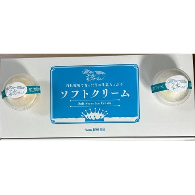 有田みかんソフトクリーム・自社牧場生乳使用ソフトクリーム　各5個　計10個入りセット