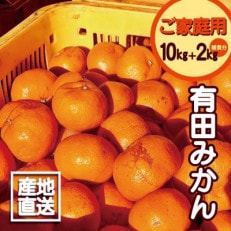 【訳あり】有田みかん 10kg+2kg保証分 　サイズ混合 11月より順次発送 　訳ありみかん