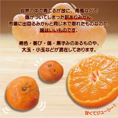 【訳あり】有田みかん 8kg+2kg保証分 　サイズ混合 11月より順次発送 　訳ありみかん