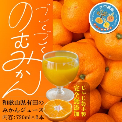 【爽やかなのに濃い!】無添加ストレートみかんジュース　720ml 2本