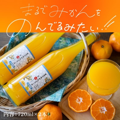 【爽やかなのに濃い!】無添加ストレートみかんジュース　720ml 2本