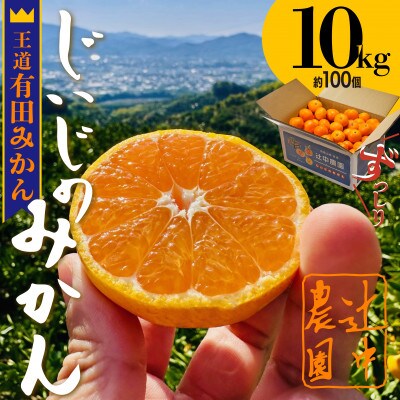 和歌山県有田みかん 　じぃじのみかん10kg