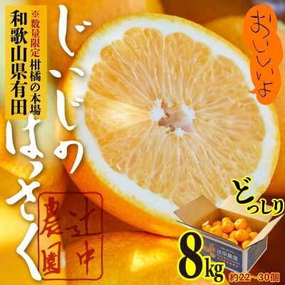 和歌山県有田　じぃじのはっさく8kg