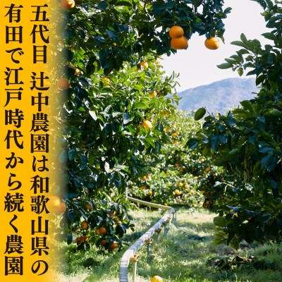 和歌山県有田　じぃじのはっさく8kg