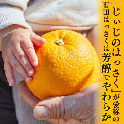 和歌山県有田　じぃじのはっさく8kg