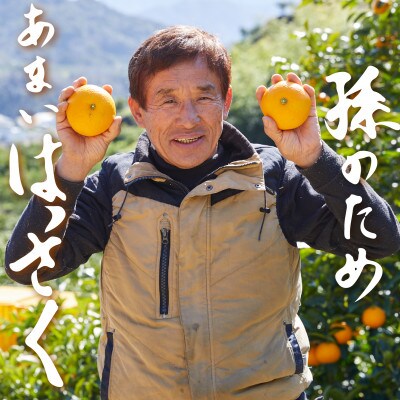 和歌山県有田　じぃじのはっさく8kg