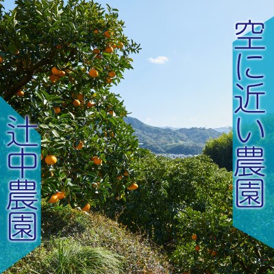 和歌山県有田　じぃじのはっさく4kg