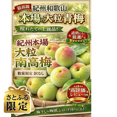 【さとふる限定】南高梅青梅秀品大玉サイズ2L～3L計5キロ