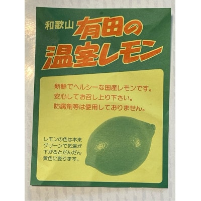 和歌山県産国産グリーンレモン計3kg