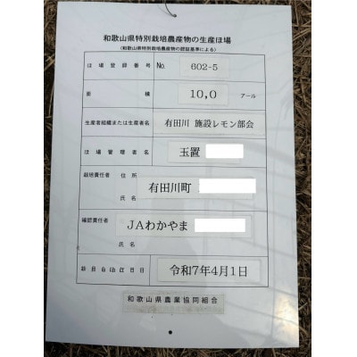 和歌山県産国産グリーンレモン計3kg