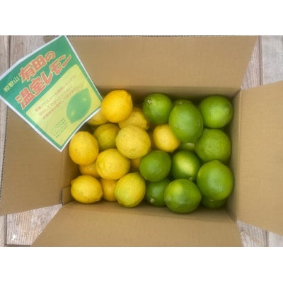 和歌山県産国産グリーンレモン計3kg