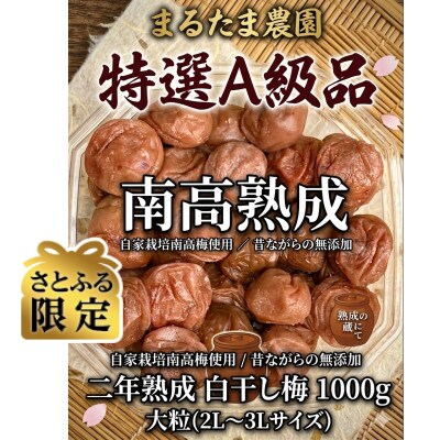 【さとふる限定】熟成南高白干し梅　1キロ