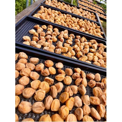 【さとふる限定】熟成南高白干し梅　1キロ