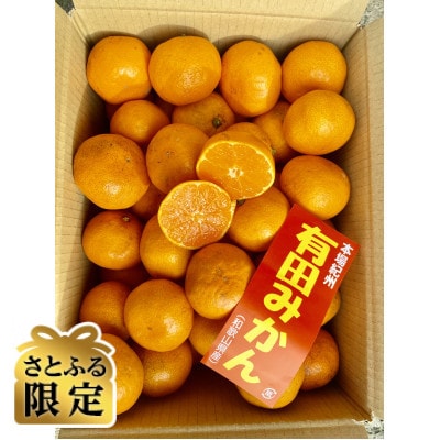 【さとふる限定】貯蔵みかん　5キロ