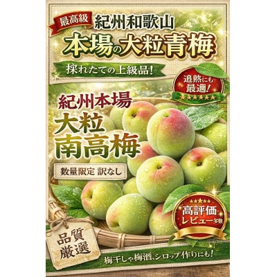 大粒南高青梅 2L〜3Lサイズ 計10kg