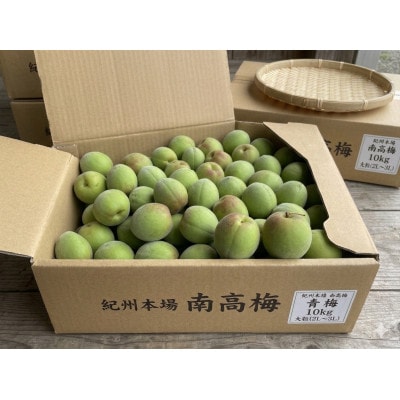 【さとふる限定】紀州本場大粒南高梅　10kg(5kg×2箱)