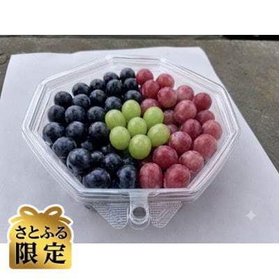 【さとふる限定】大粒ぶどう粒詰合せ　1kg