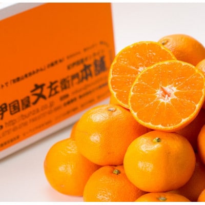 ブランド有田みかん【Sサイズ】秀品 5kg 薄皮で甘い美味しいみかん 産地直送